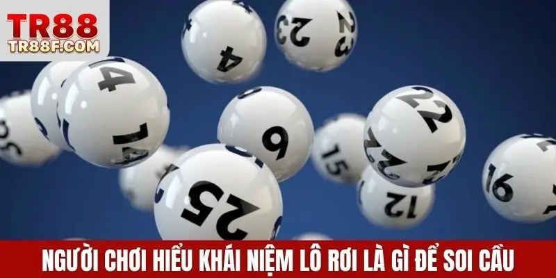 Người chơi hiểu khái niệm lô rơi là gì để soi cầu